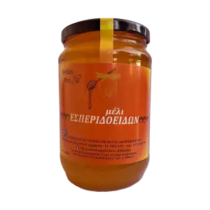 Μέλι πορτοκαλιάς HellasBee 960 gr